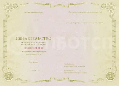 Аккумуляторщик